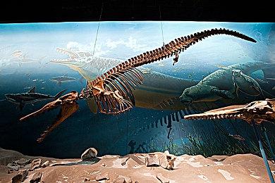 《骑士精神2》队伍平衡功能出现BUG 开发者紧急叫停